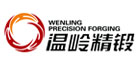 Shandong Wenling Precision Forging Technology Co., Ltd.